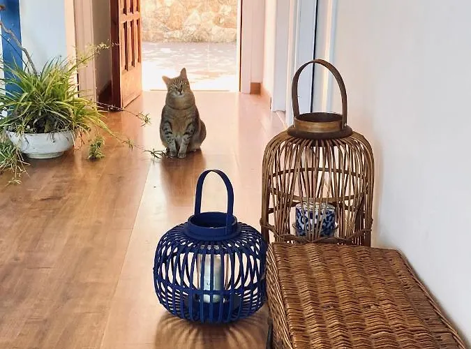 아파트 Sailor Sea Views *